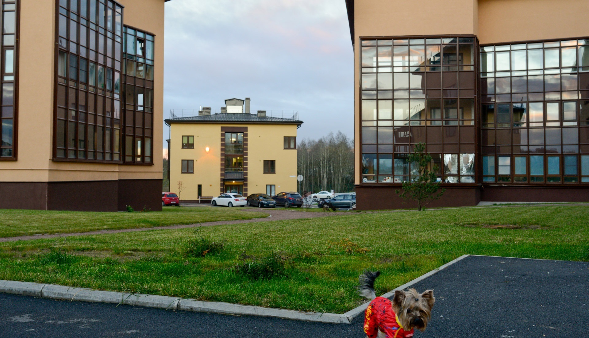 2-комнатная, 57 м² — ЖК ЖК ЭкоСити