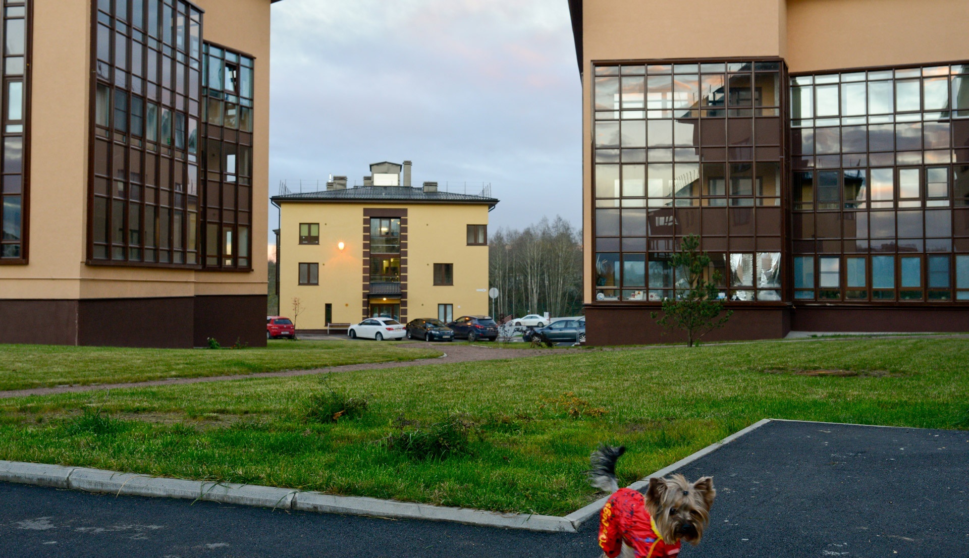 3-комнатная, 88 м² — ЖК Жилой микрорайон Mistola Hills (Мистола Хиллс)